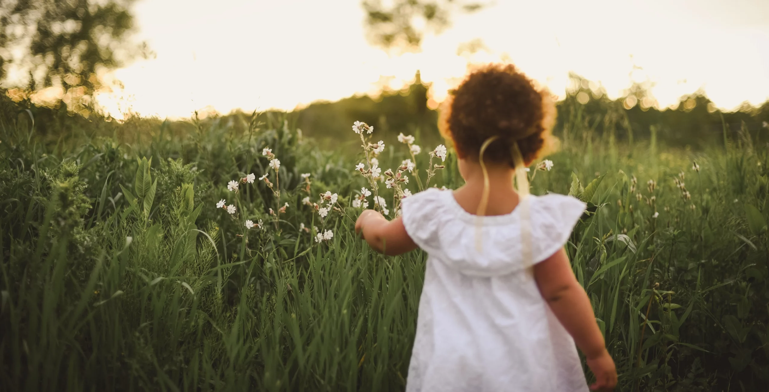 Kleines Mädchen im Feld, das weiße Wildblumen berührt. Kind aus Kindertagespflege